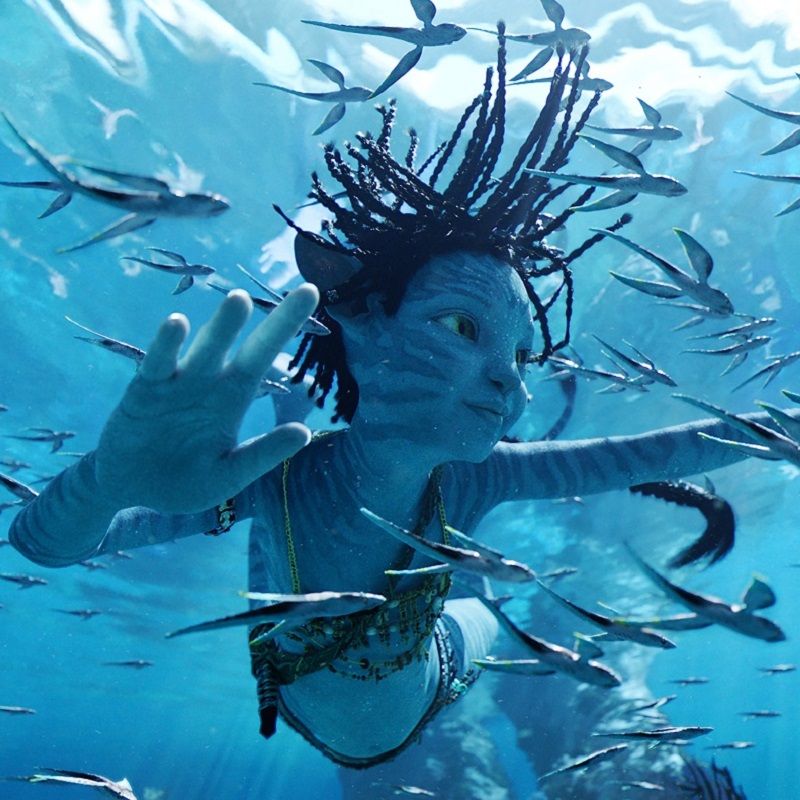 ‘Avatar’ To ‘Top Gun: Maverick’: 12 Highest-Grossing Films Of All Time