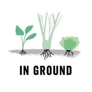 In Ground