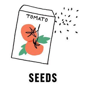 Seeds