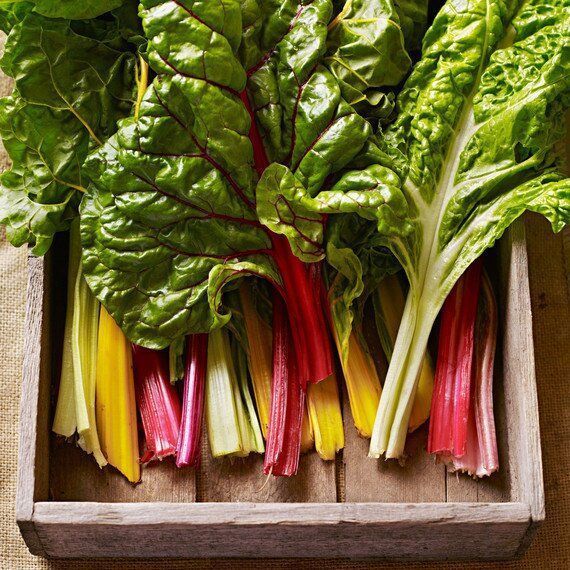 Vegetable garden