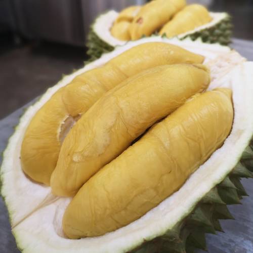 99 Old Trees Durian