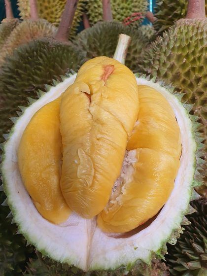 Durian Kaki
