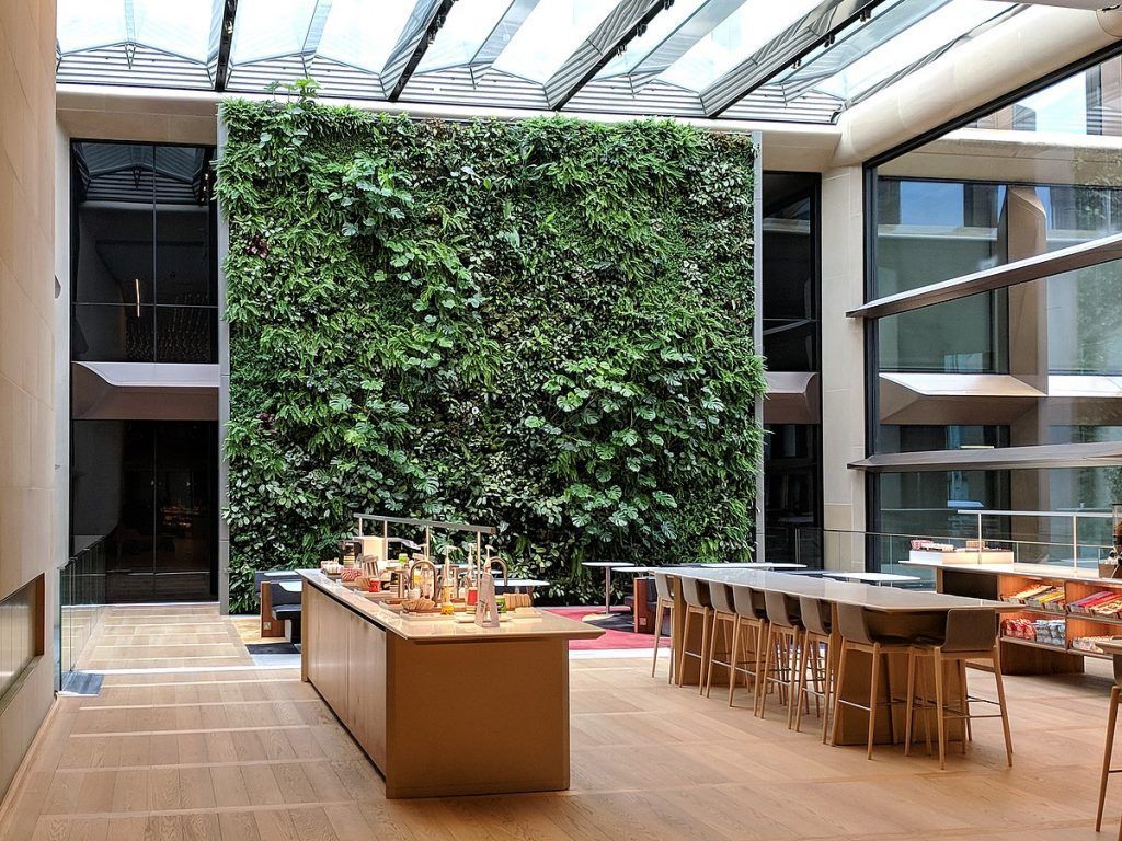 Living plant wall