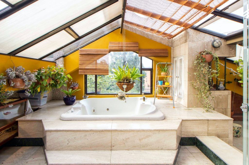 Bathroom plants