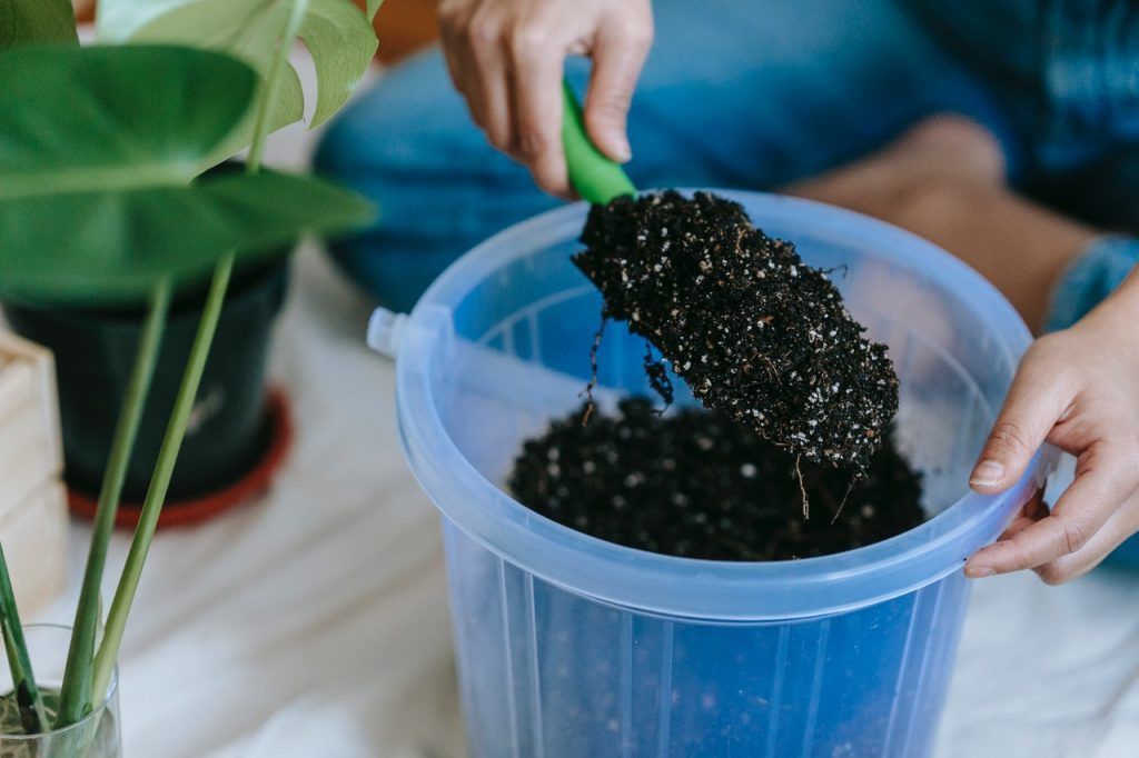 soil indoor plants
