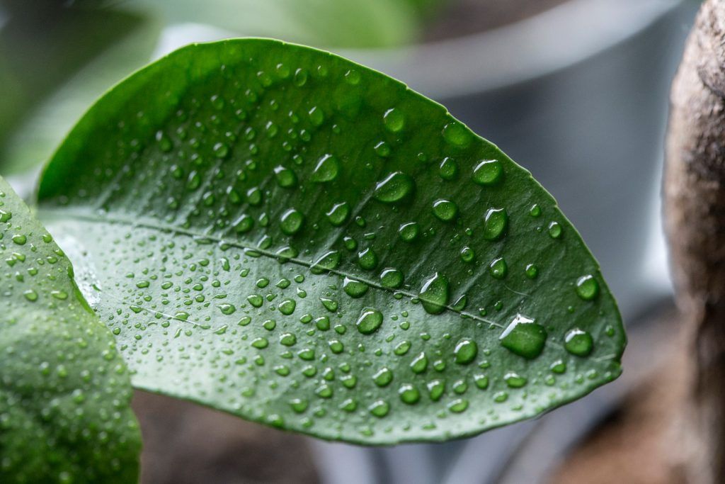 temperature and humidity
