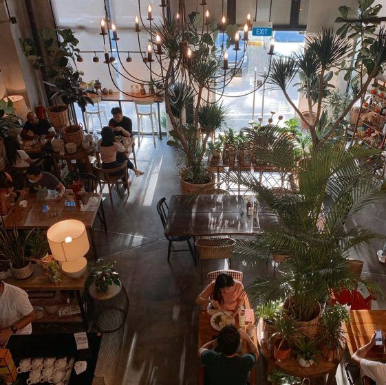Knots Cafe & Living