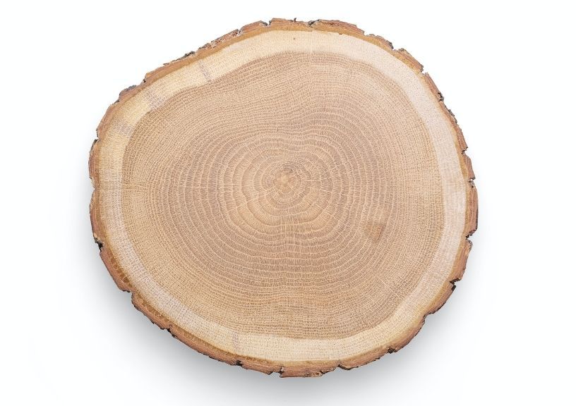 best Wood for smoker