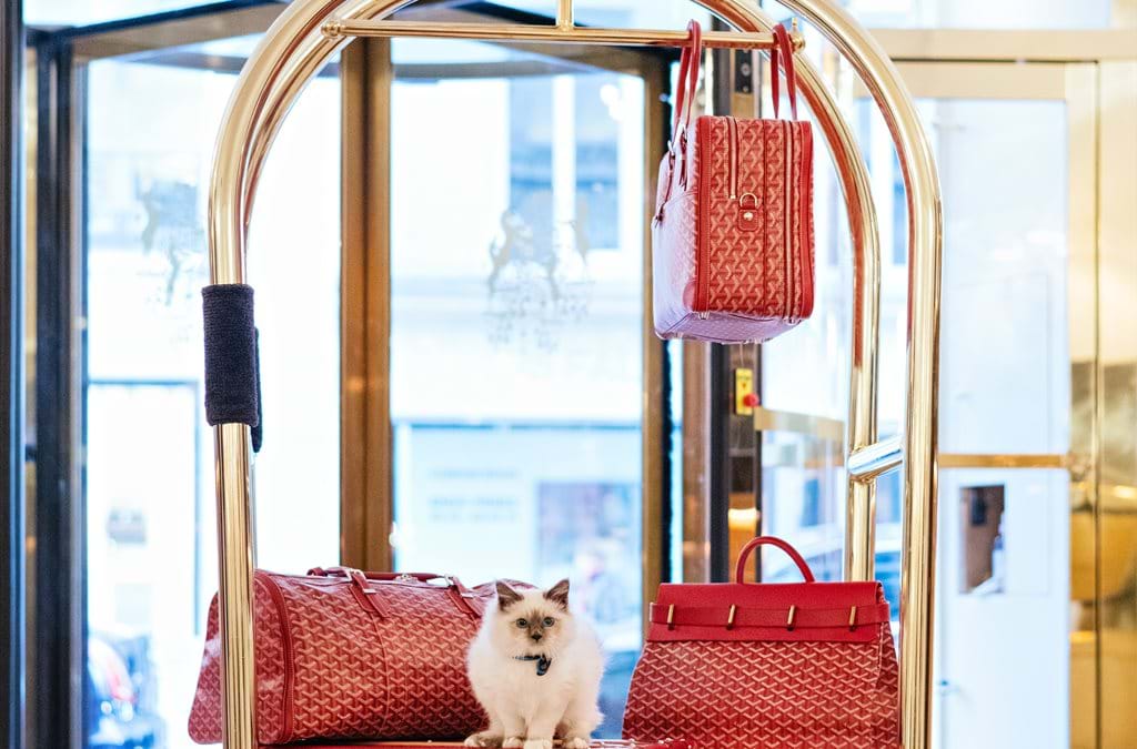 Pet-friendly Luxury Hotels With Their Own Animals In Residence