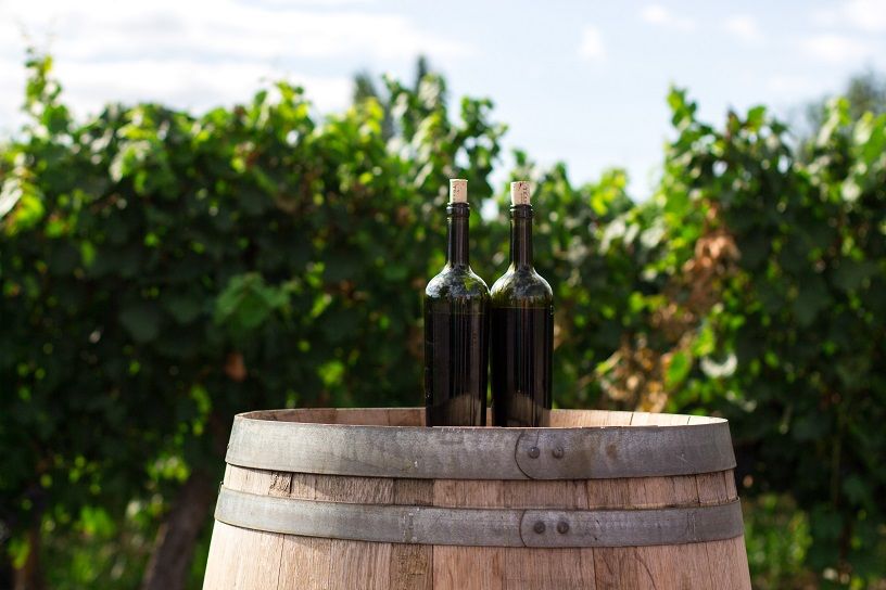 dolcetto