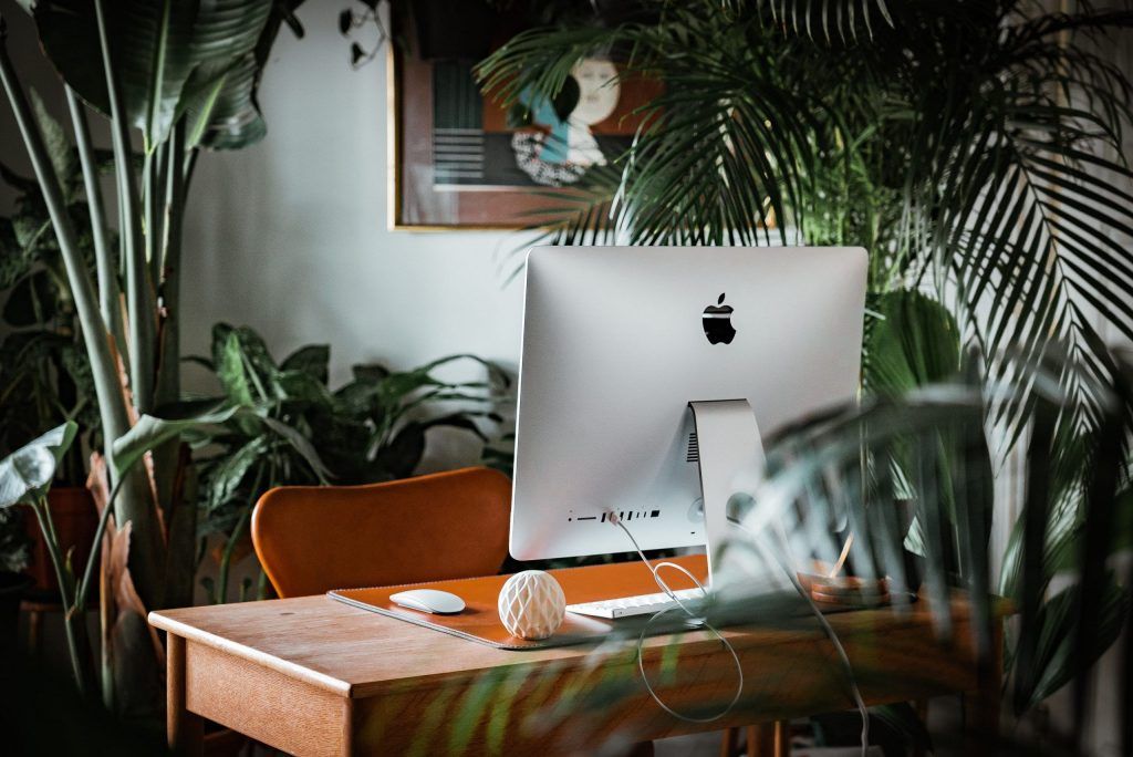 Can Plants Boost Productivity In The Workplace? A Biophilic Office Could Provide The Answer