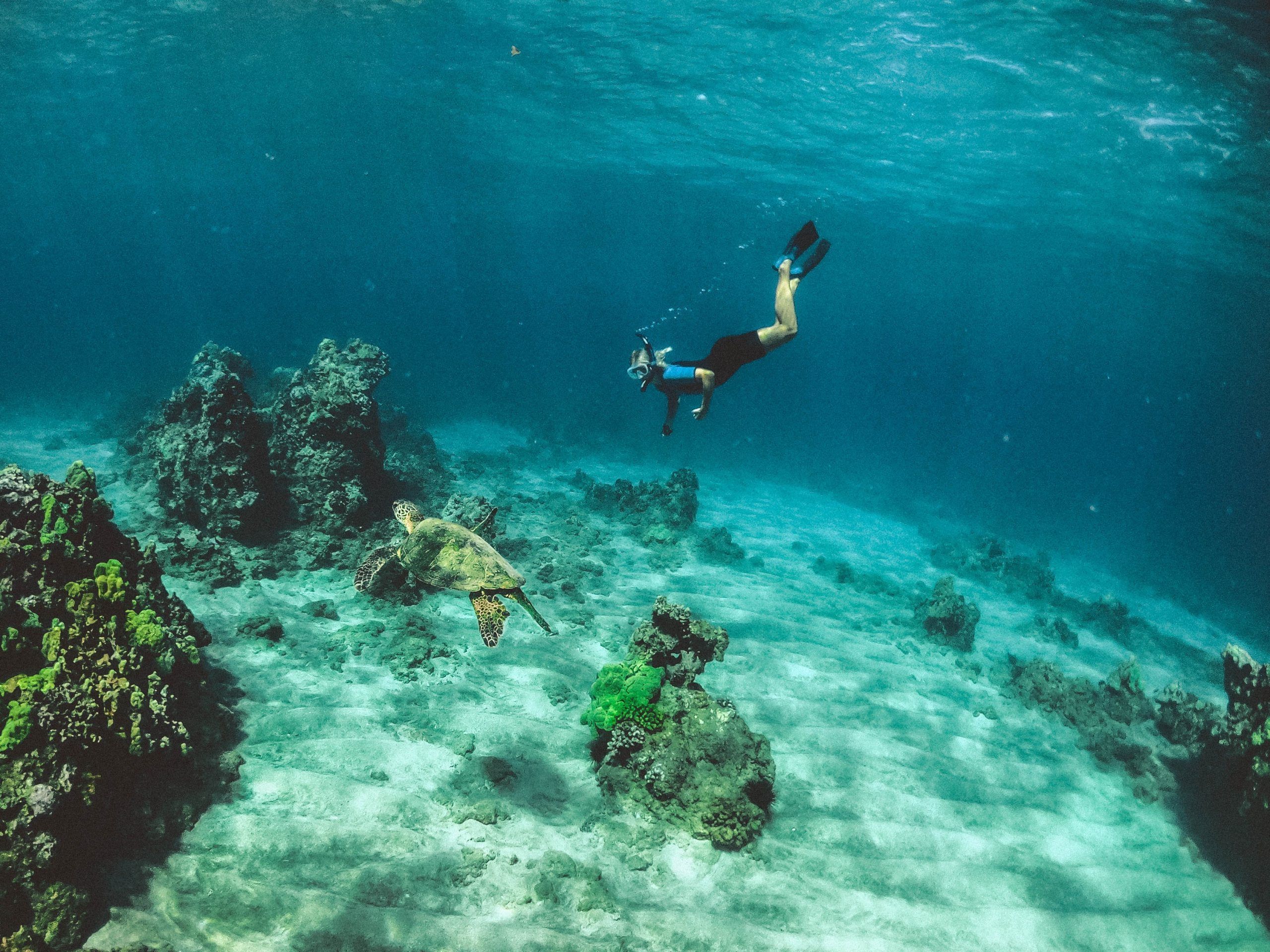 southeast asia luxurious underwater experiences