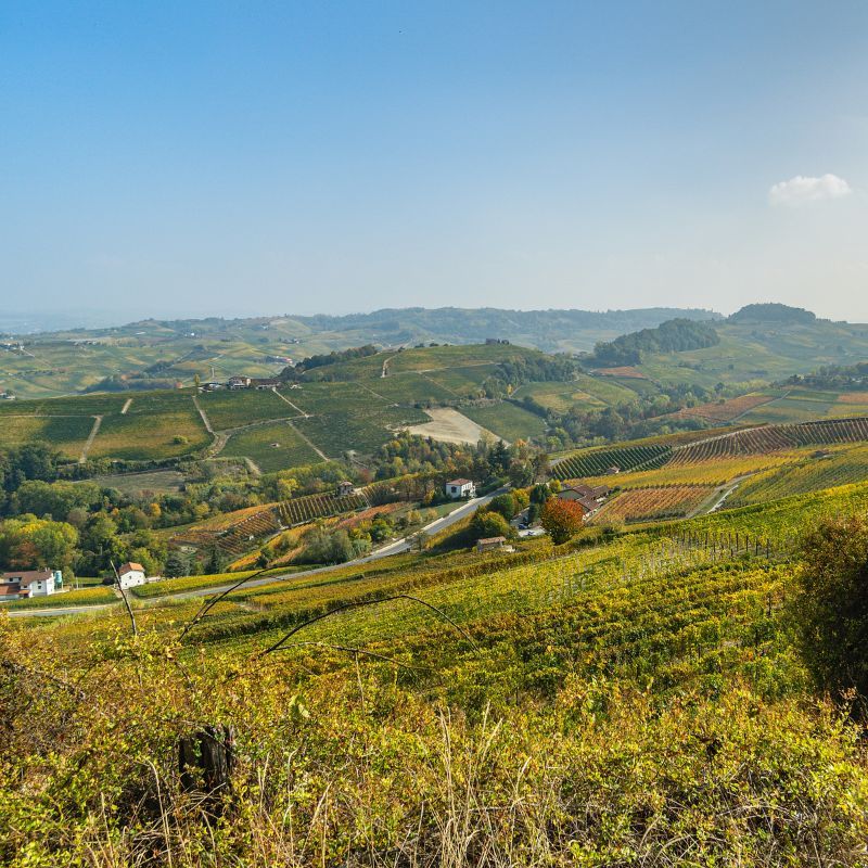 Unlocking The Mysteries Of Piedmont