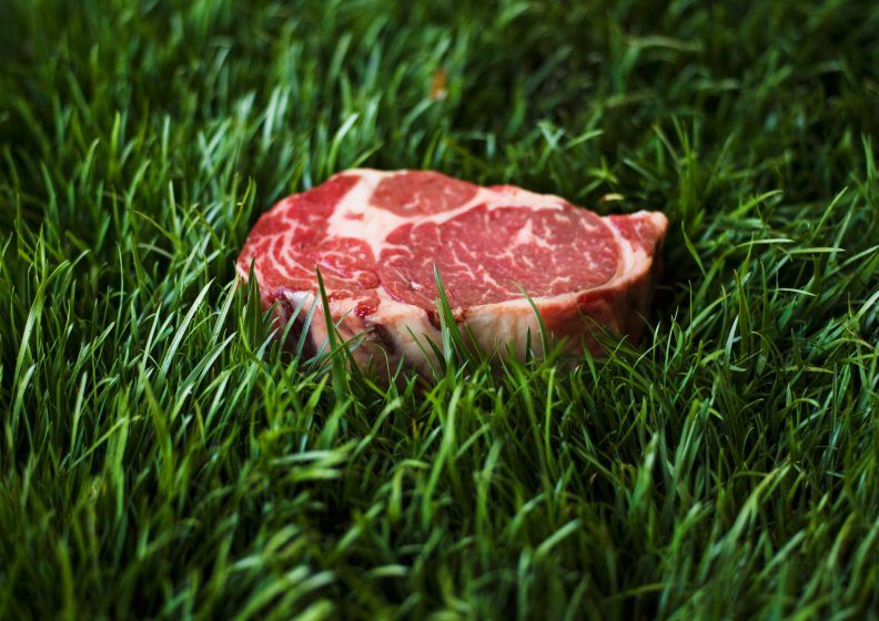 Grass-fed and hormone-free beef brand, Roots Regenerative, has landed in Singapore