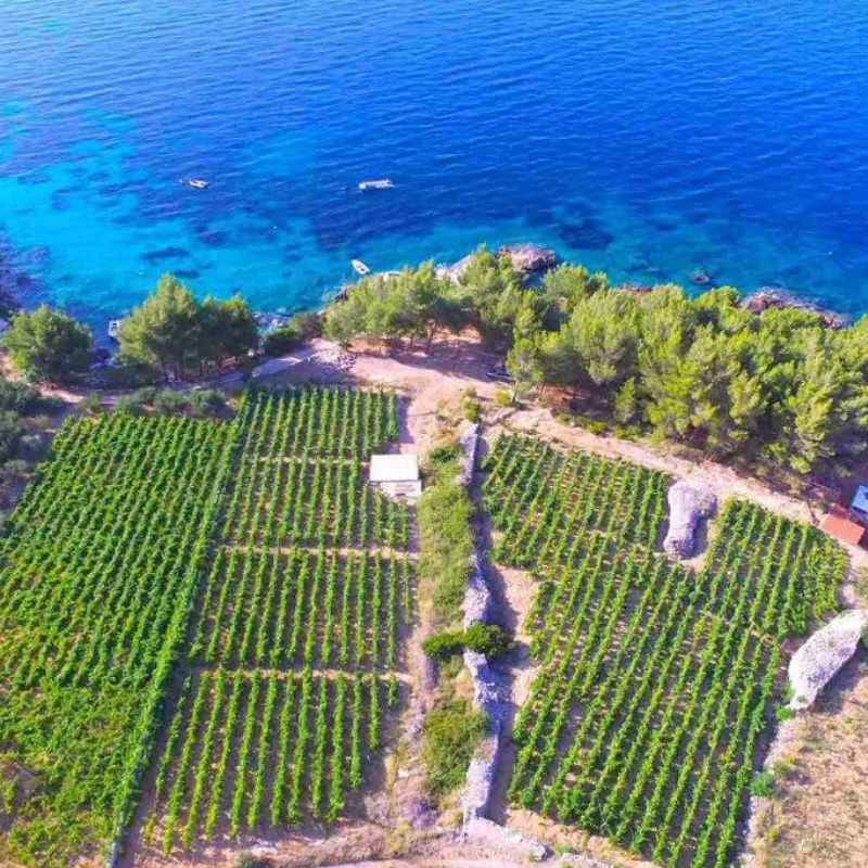 This Scenic Wine Tasting In A Croatian Cave Cellar Is Only Accessible By Boat