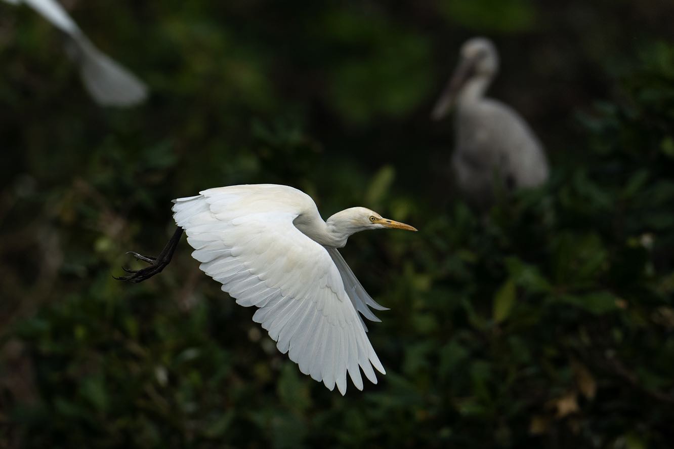 Best nature photographer: Rathika Ramaswamy