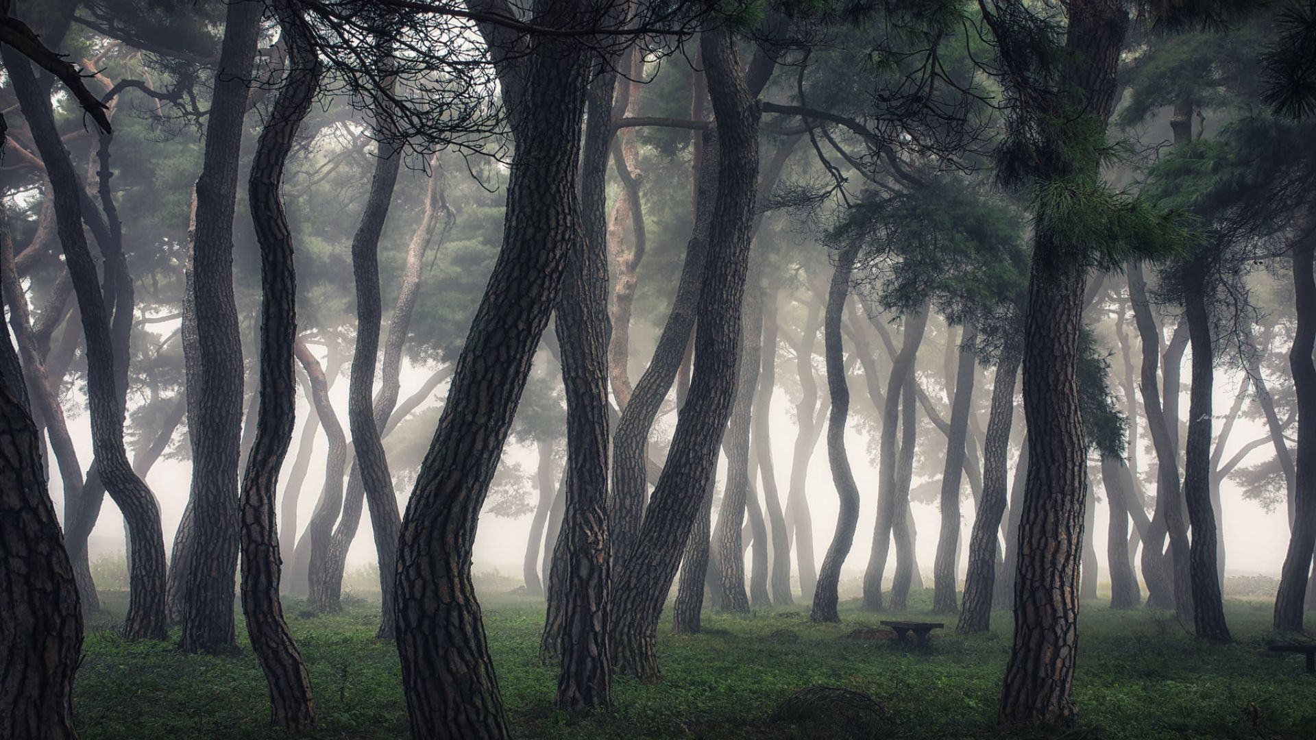 Jaewoon U
