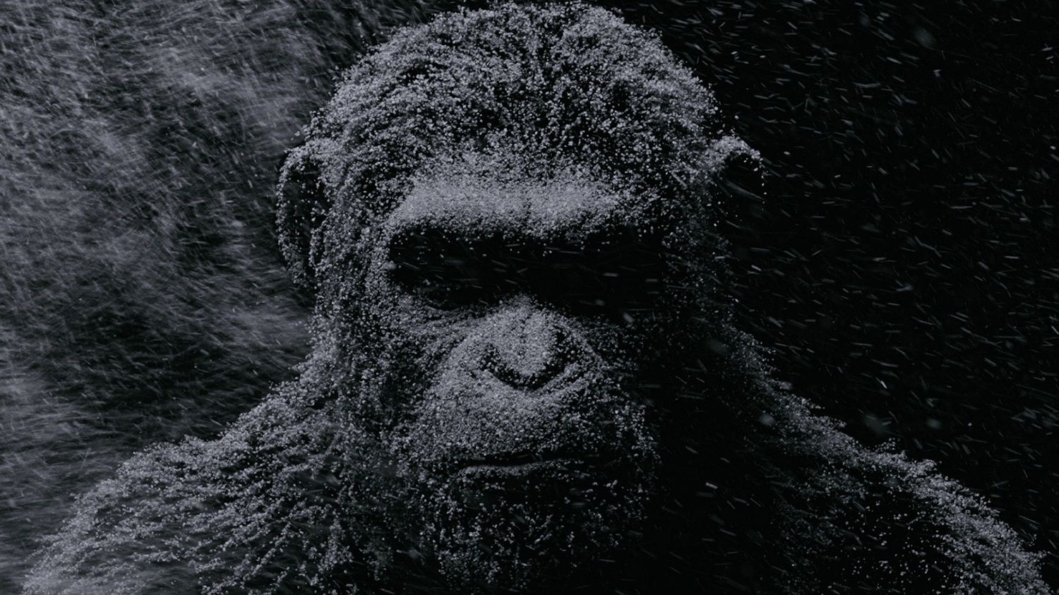 ‘Kingdom Of The Of The Apes’ FirstLook Poster, Cast Revealed