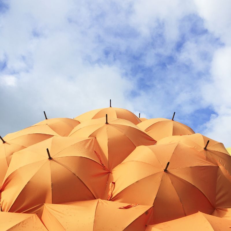 Best Luxury Umbrellas To Keep You Dry And Out Of The Sun
