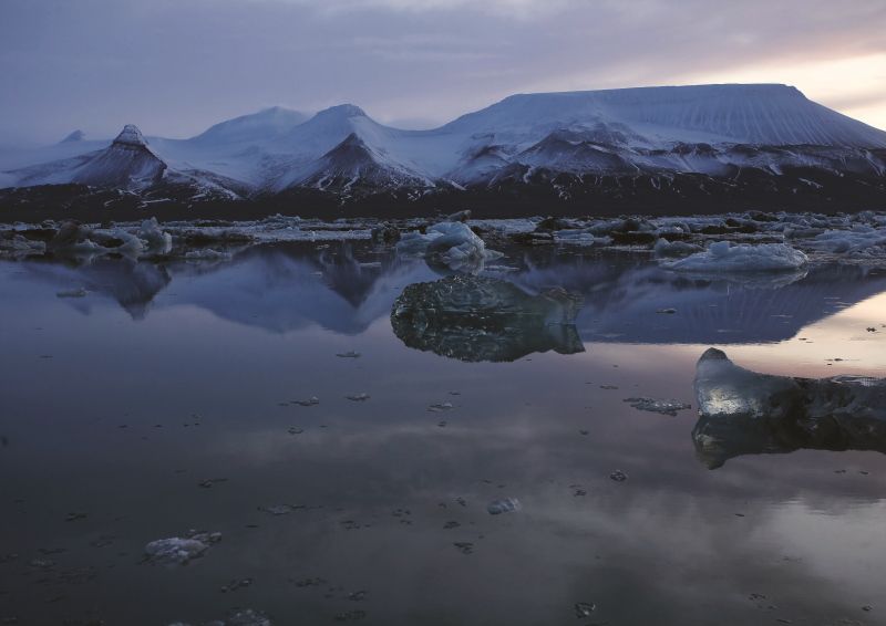 BBC Earth To Host A Frozen Planet II Free Screening Festival At Gardens By The Bay
