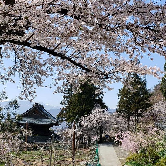The Temple In Japan That’s Dedicated To Grapes And Wine