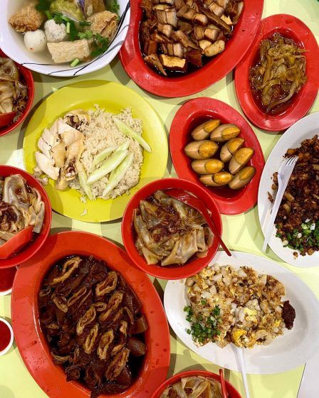Cheng Heng Kway Chap and Braised Duck Rice