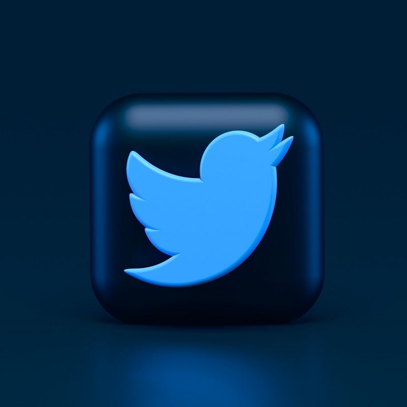 Would You Pay USD8 A Month For A Twitter Blue Tick?