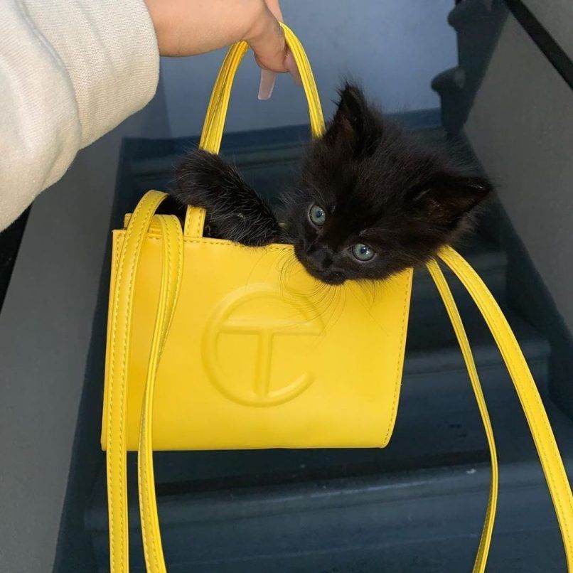 A guide to the Telfar Bag and choosing the best one for your lifestyle