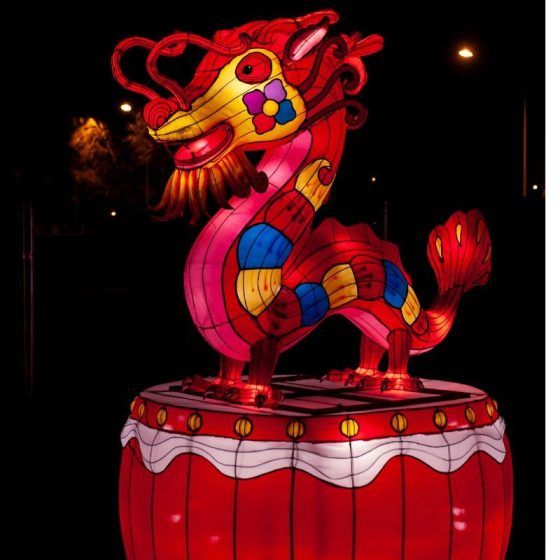 Dragon