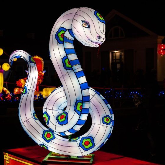 Snake