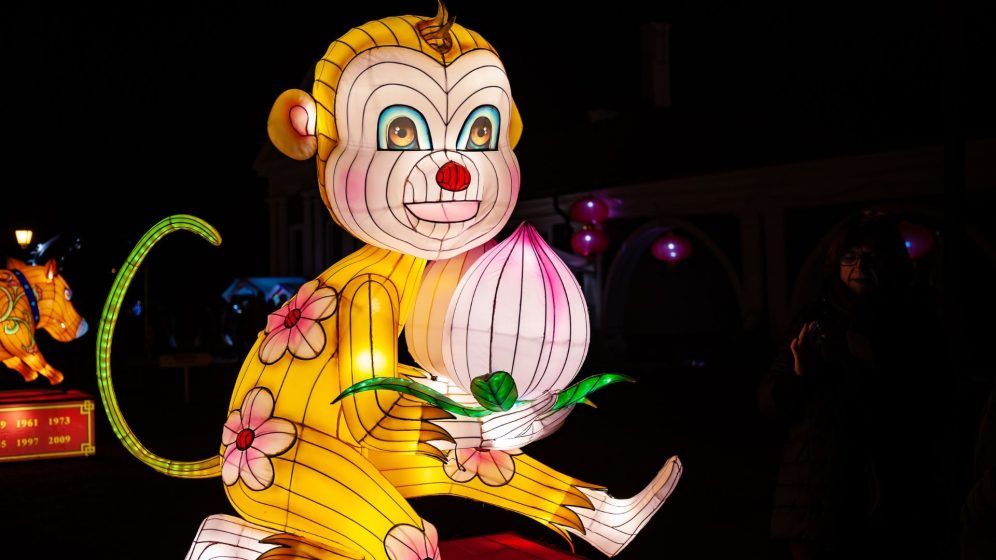 Monkey