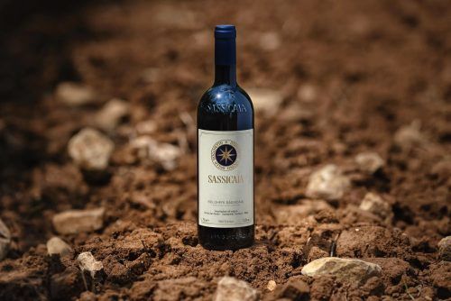 Drink Craft Beers, Top Tuscan Wines At The ‘Urban Beer Festival’ And ‘Gems Of Tuscany Wine Fair’