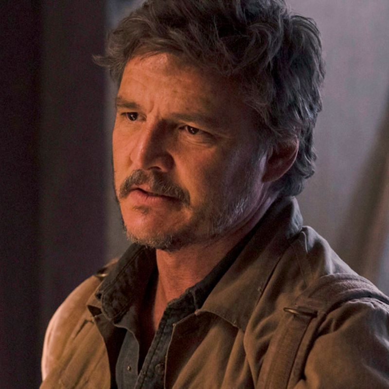 Joel 'The Last of Us' Actor: Pedro Pascal, Role Details