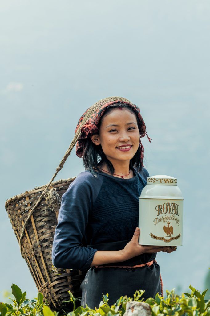 Sustainability From Plant To Cup: V3 Gourmet Sets The Standard For The Global Mass-Affluent Market