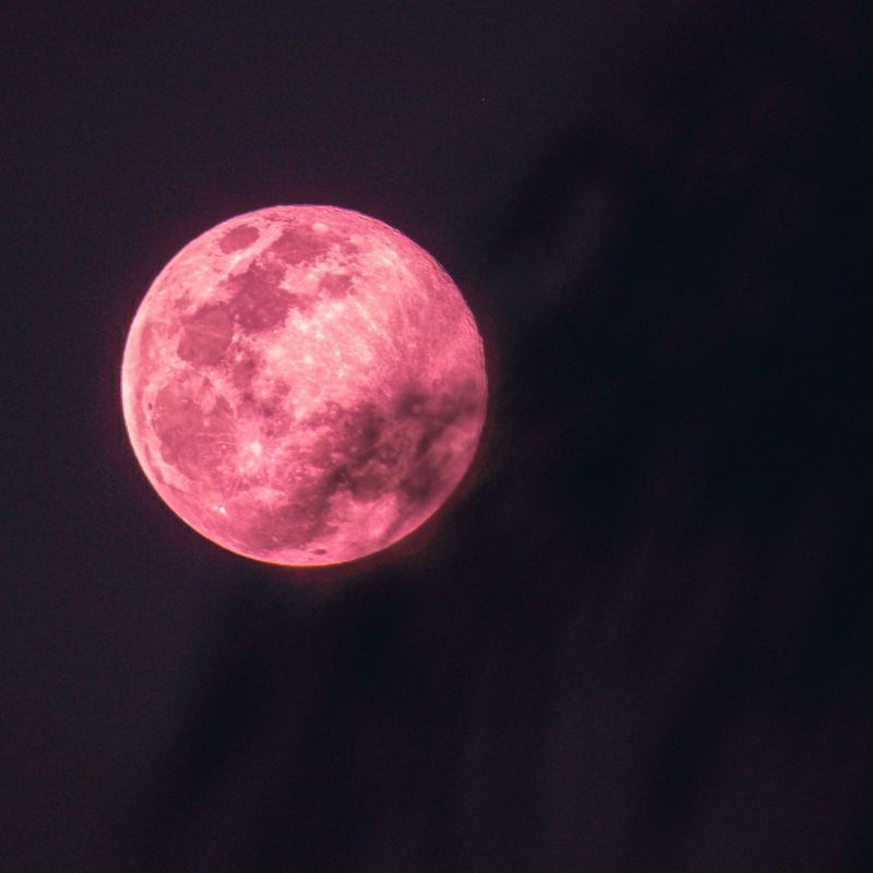 Full Pink Moon 2023: How Will This Strange Phenomenon Affect Your Zodiac Sign?