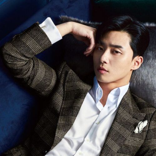A Comprehensive Guide To Park Seo-Joon’s Best Movies And K-Dramas