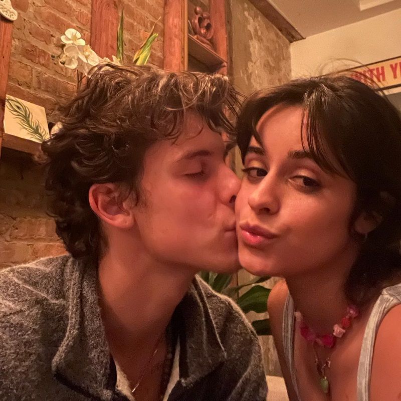 Camila Cabello And Shawn Mendes: Their Relationship Timeline From ‘Shawnyboy’ To Coachella Reunion Camila Cabello And Shawn Mendes: Their Relationship Timeline From ‘Shawnyboy’ To Coachella Reunion