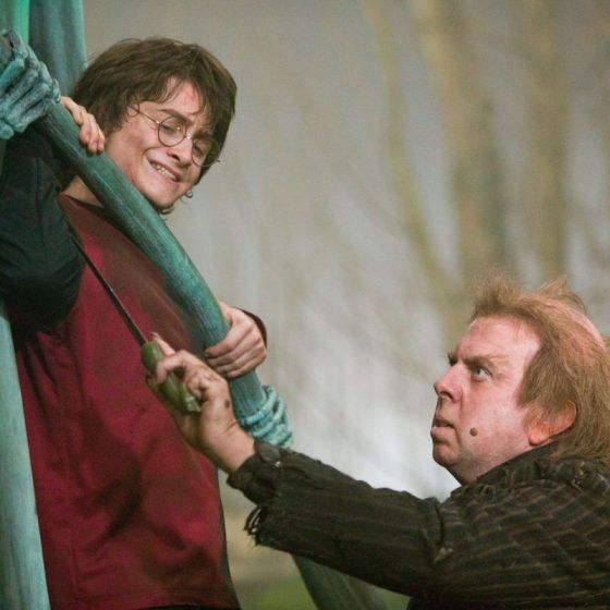 Harry Potter and the Goblet of Fire (2005)