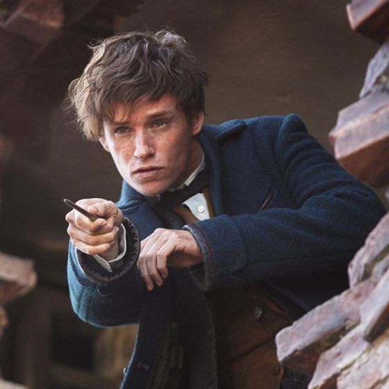 Fantastic Beasts and Where to Find Them (2016)