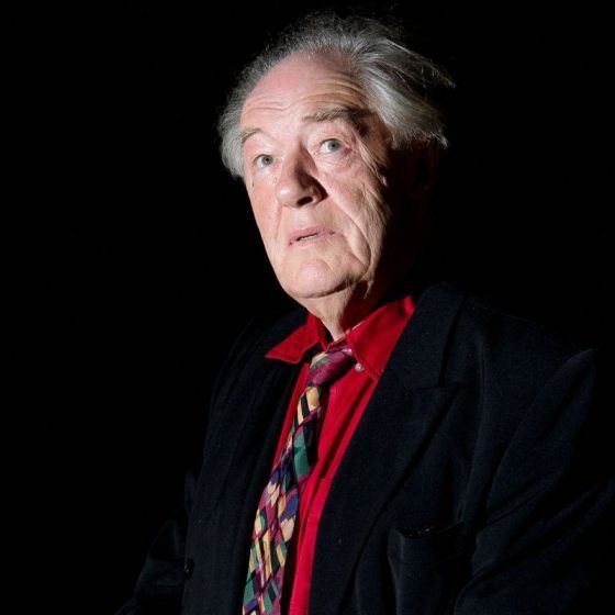 Michael Gambon — Albus Dumbledore