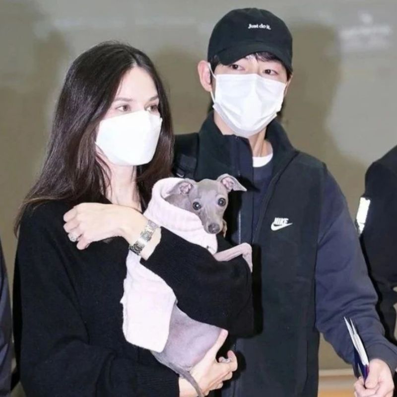 How Song Joong Ki And Katy Louise Saunders’ Epic Love Story Unfolded How Song Joong Ki And Katy Louise Saunders’ Epic Love Story Unfolded