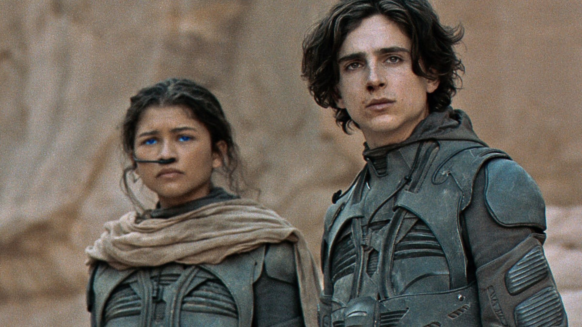 Timothee chalamet net worth - dune