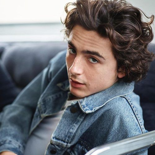 Timothée Chalamet’s Net Worth: His Career Earnings, Brand Endorsements And More