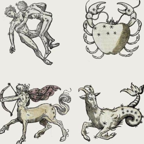 Everything We Know About Fixed Zodiac Signs: Taurus, Leo, Scorpio And Aquarius