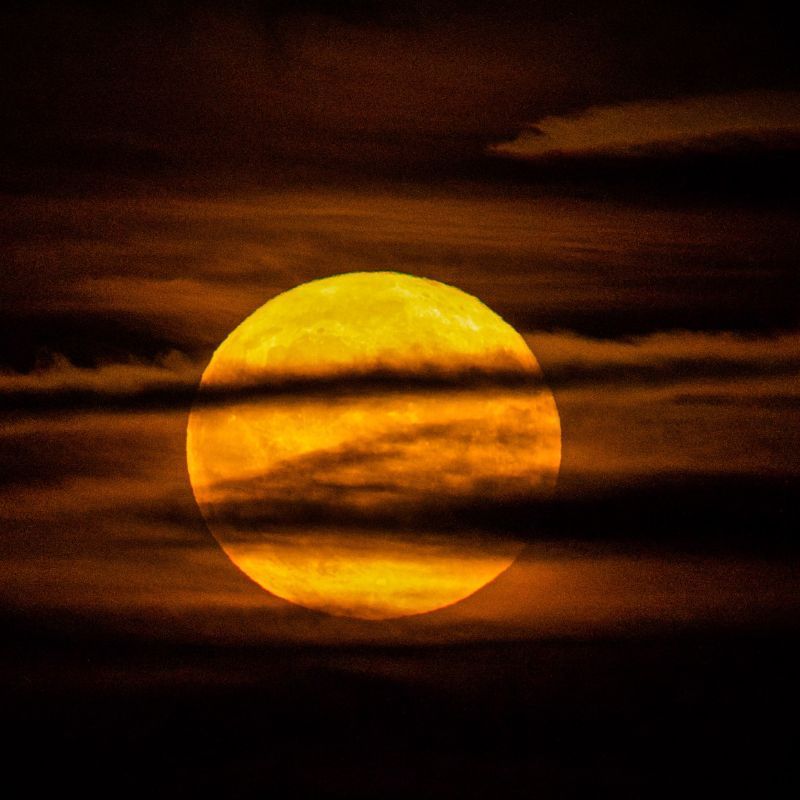 July Full Moon 2023: How Will This Phenomenon Affect The 12 Zodiac Signs?