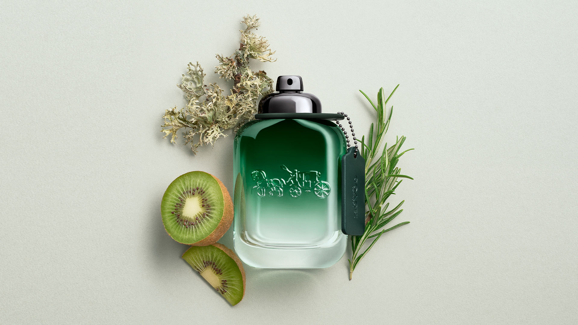 Coach Green: Nature’s Serenity in a Bottle