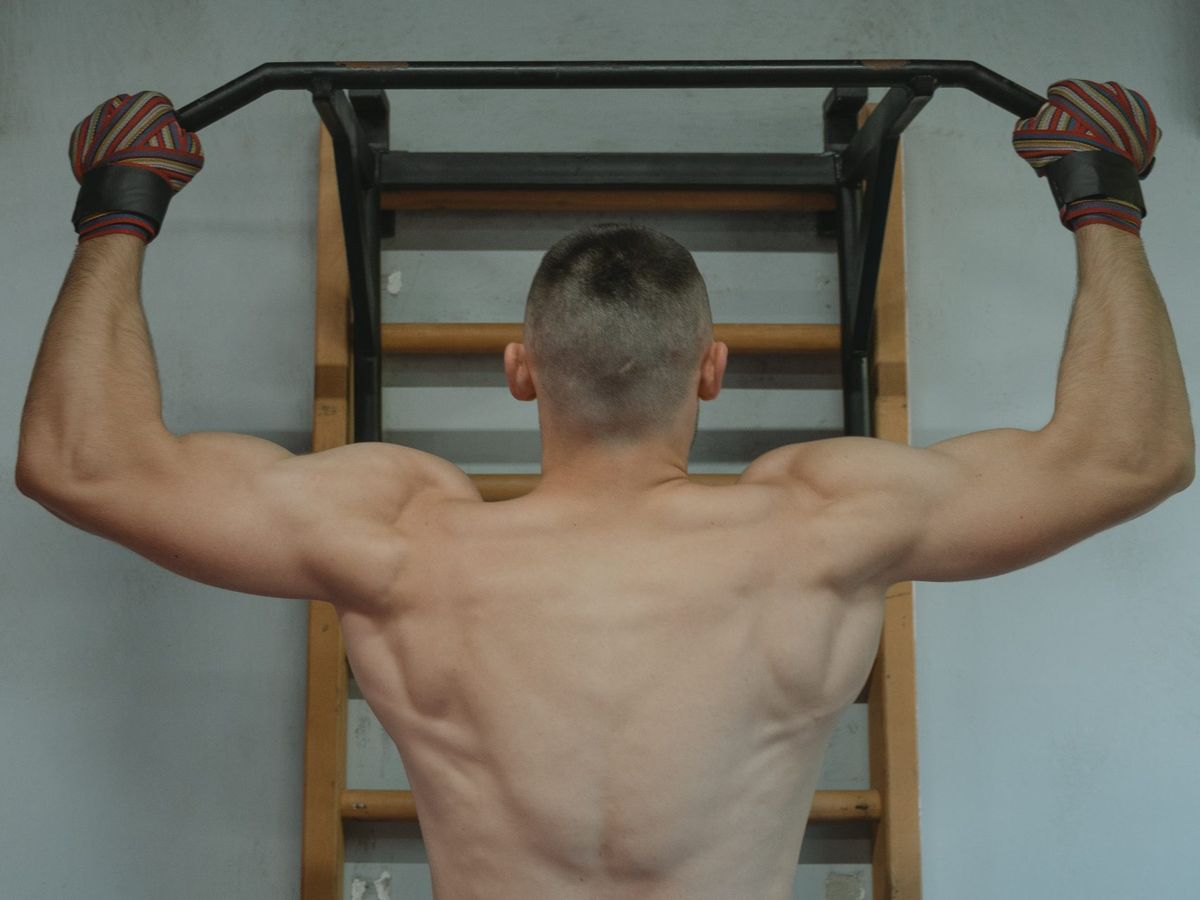 Everything You Need to Know to Build a Strong Back
