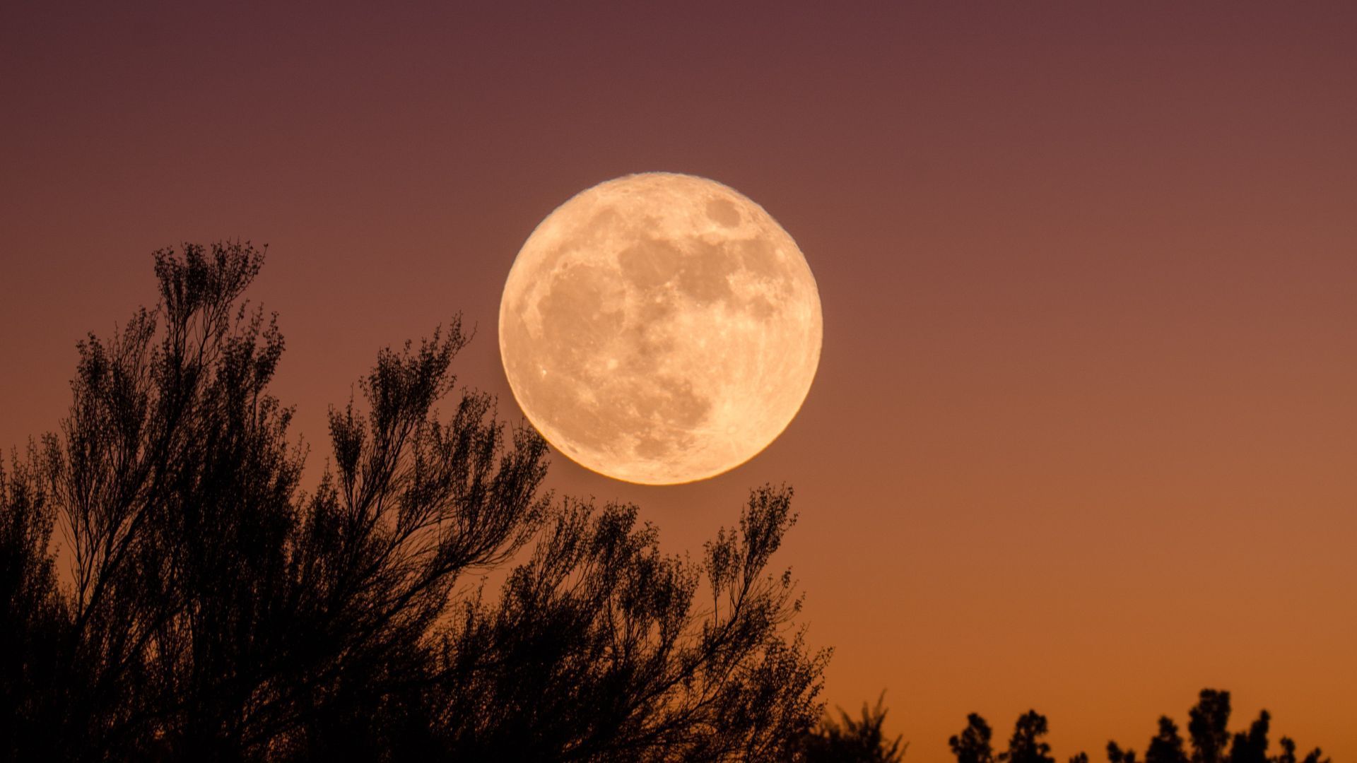 August supermoon