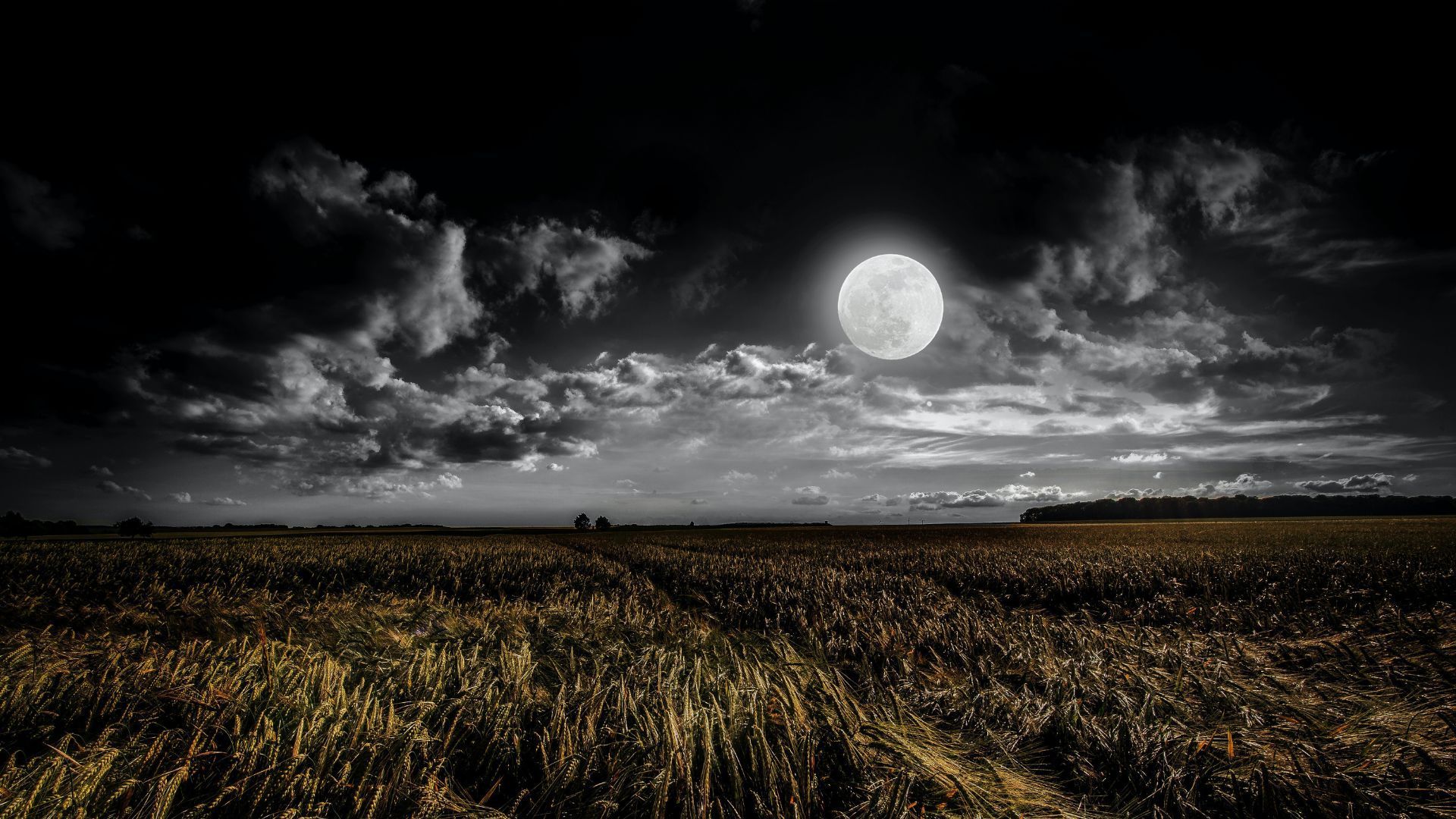 August supermoon- Blue Moon