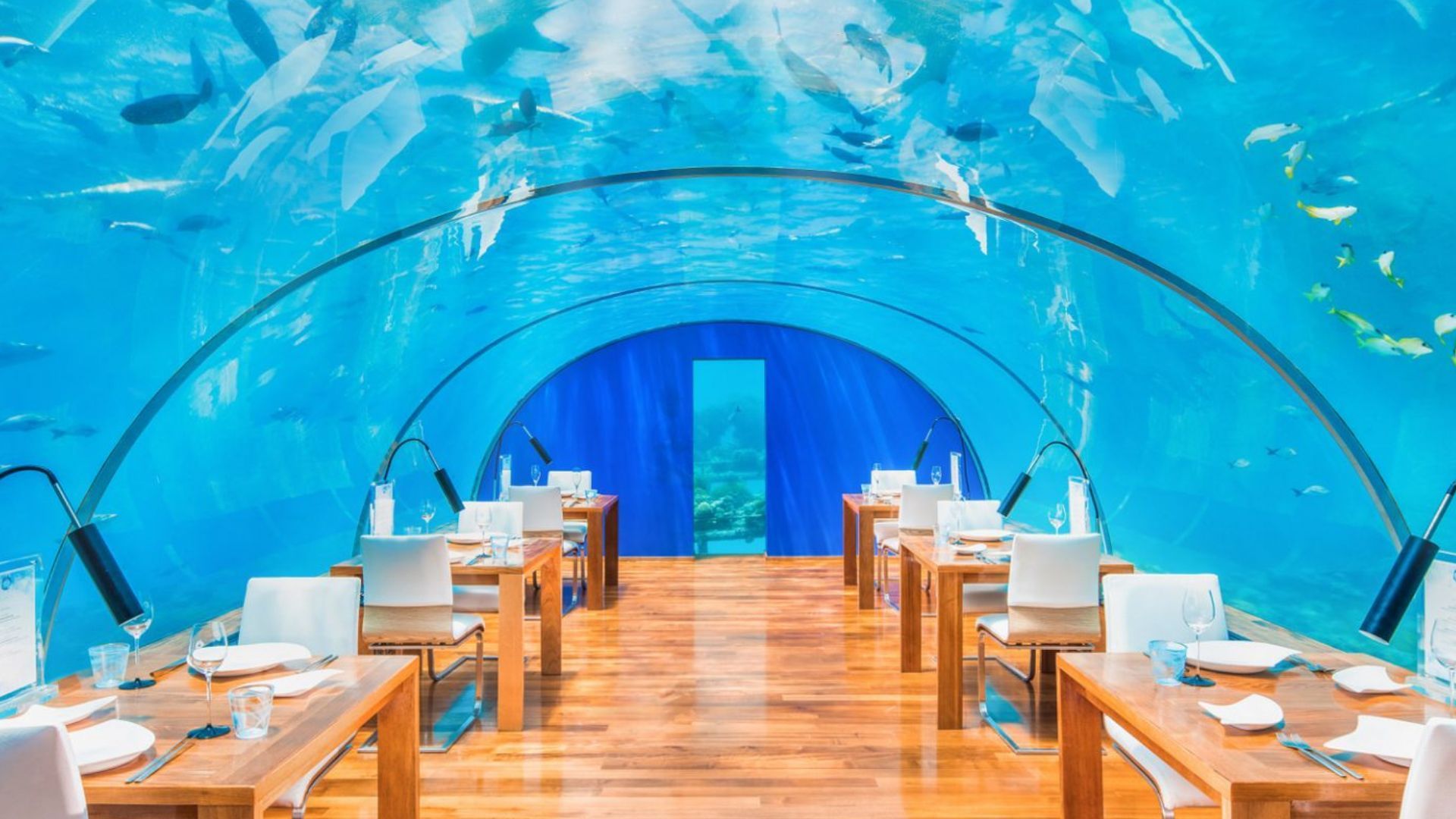 Ithaa Undersea